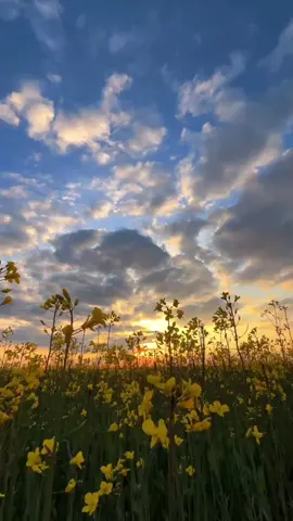 Wait, it's time to take a break.#nature #hopecore #edit 
