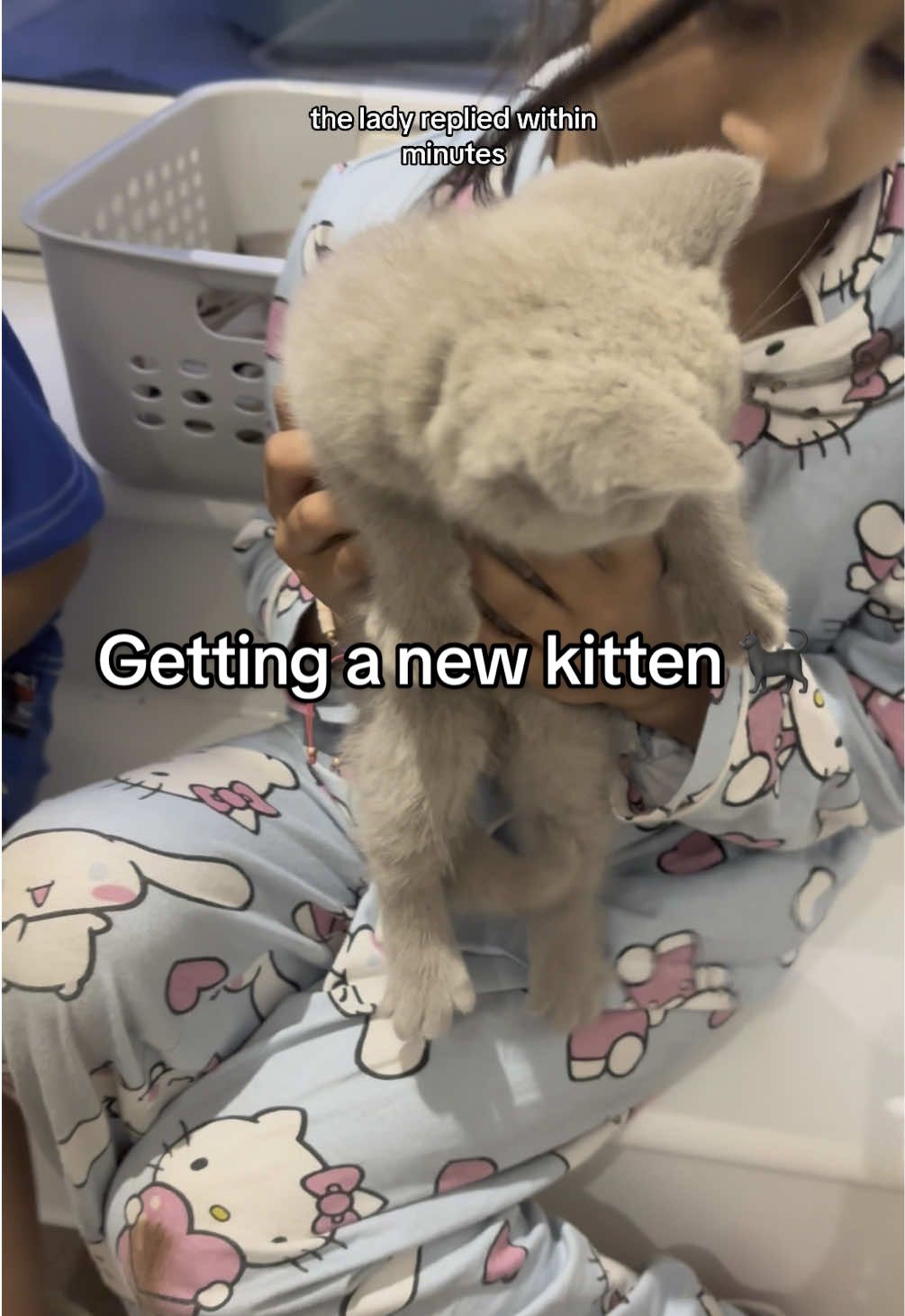 Buying a British Shorthair kitten 🥹 #bsh #buyingkitten #fyp #Vlog #lifevlog 