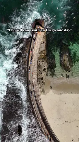Who else is obsessed with San Diego? Once I was dreaming of visiting, now I call San Diego my home! #sandiego #sandiegoblogger #sdblogger #sandiegocalifornia #socal #lajolla #lajollacove 