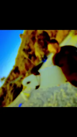 #family #surf #tongandance #tongantiktok #grandmasbirthday #dance #Love #tonganculture #LA 