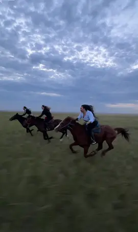 #fyp #рек #horsegirl 