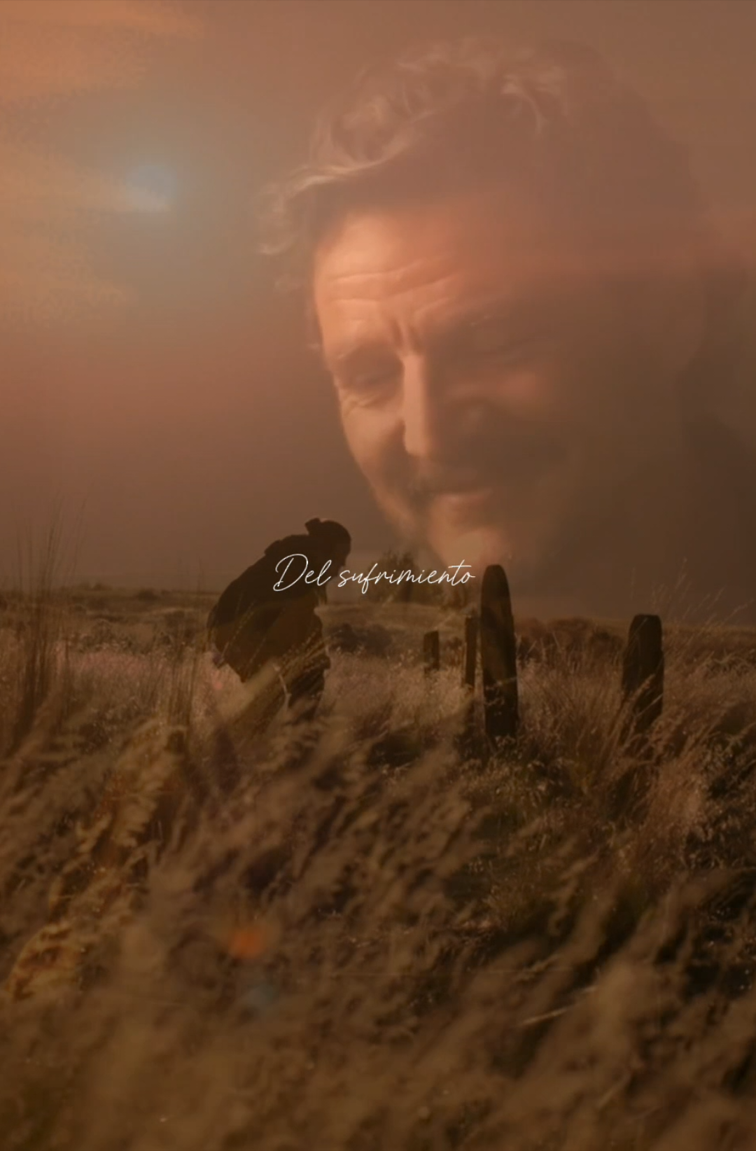 Rescatame del sufrimiento🫂😭💔🥹 #tlouedit #editvideo #lyricsvideo #thelastofusedit #joelmiller #elliemilleredit #jesseyjoy #jesseyjoyllorar😭😭 #hbomax #thelastofus2 #capitulo6thelastofus 