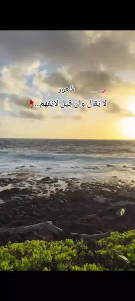 #محمود_انور #شلونك_انت #طربيات_الزمن_الجميل   #iraqi_songs #messo2016 #اغاني_عراقيه #طرب_عراقي_اصيل 