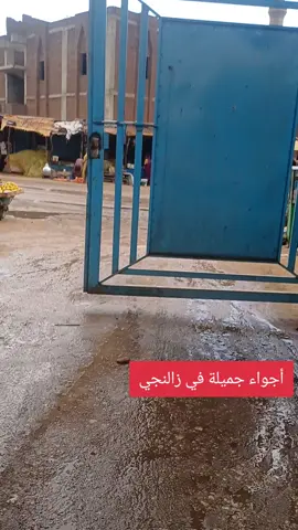 *والغاليه تدعي لينا .. لا هموم تسكن دروبنا ولا يلاقينا الخطر💚🌸*
