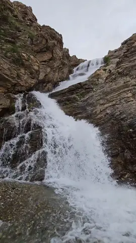 #قەندیل #foryou 