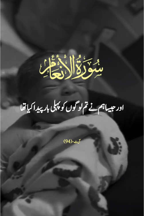PART - 27 | SURAH INAAM 🕊🤲 VERSES 73  #repost #surahinaam  #urduqurantranslation #alquran #explore #fyp #viral #foryoupage #qurantarjuma #withranay_