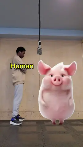 Human Vs. Hyper Pig... TRACK 2 - GET HYPER BY DROIDEKA
