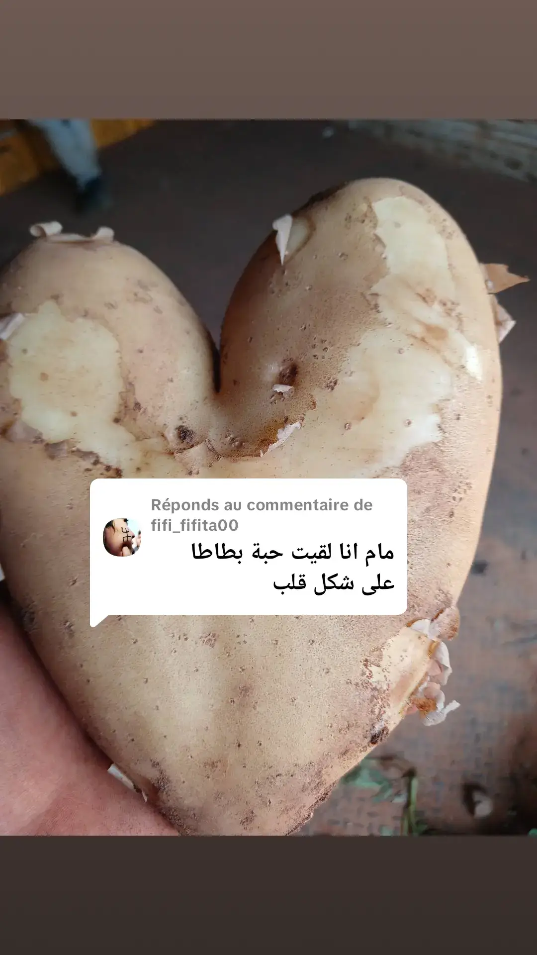Réponse à @fifi_fifita00 