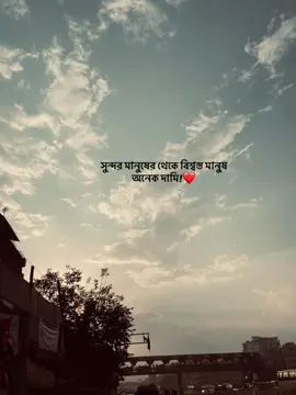 🫶🏻#foryou #mihal_730 