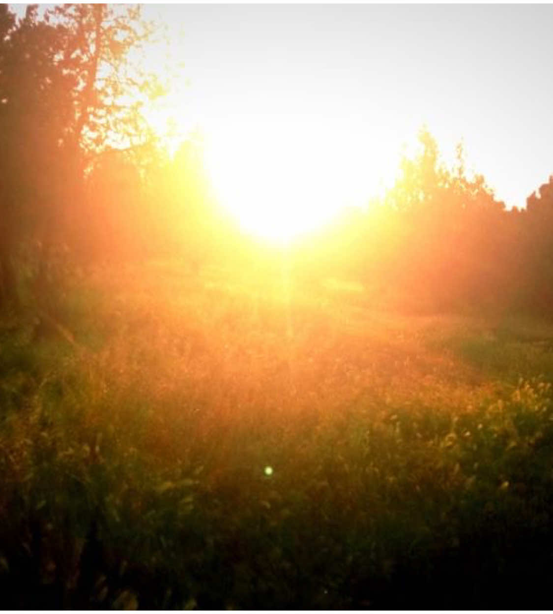 laputa - panchiko #fyp #real #rs #tiktok #fypシ #foryou #music #band #musicband #panchiko #edit #shoegaze 