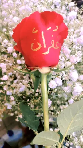 #غفران#اكسبلور #مصر_السعودية #الحبايب 