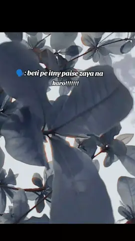 😊🌏🥰♥️#attitudegirl😎 #attitude #attitudegirl #viralvideo #standwithkashmir #foryoupage #fyppppppppppppppppppppppp #fyppppppppppppppppppppppp #fyppppppppppppppppppppppp 