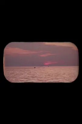 Tekrar hayatınıza almayın. 🎥: @legow_know 