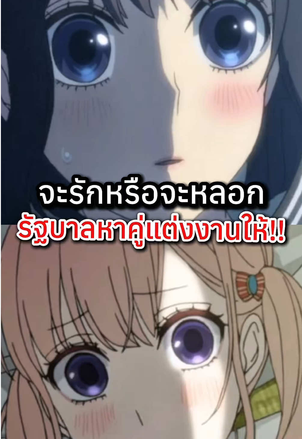 Koi to Uso - จะรักหรือจะหลอก #anime #อนิเมะ #koitouso #จะรักหรือจะหลอก #จานบอย 