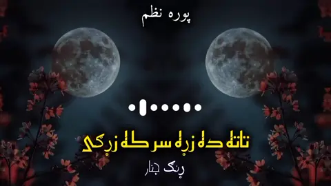 تا ته ده زړه سر که زړګی 💞💯👑 @بې پروا👒  . . ####rungcheainer1  ####bayparwa6 