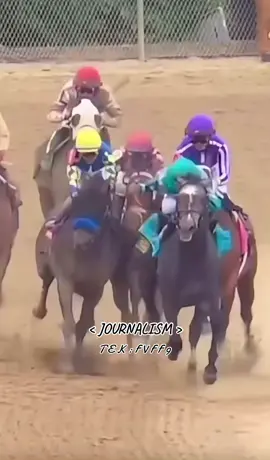 #arrogate #fypシ #fyp #usa #سباقات_الخيل 