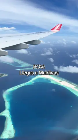 El paraíso está ahí abajo 🩵