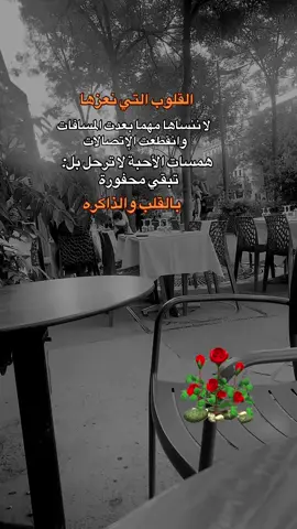 #القلوب-التي-نعزها#خواطر #عبارات #creatorsearchinsigh #vidioviraltiktok_fyp 