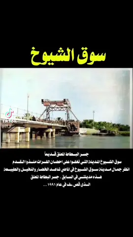 قضاء سوق الشيوخ المدينة الحالمه التي تغفو على ضفاف نهر الفرات مدينة الشعر والادب أيقونة سومر تحيطها وتأثر جمالها جزء من هور السناف الكبير  جمال طبيعتها الخضراء أهل طيب وكرم وشجاعة مدينة تكثر فيها دواوين حضارة العراق ام الثورات لكم اجمل واروع مارئت عيني 