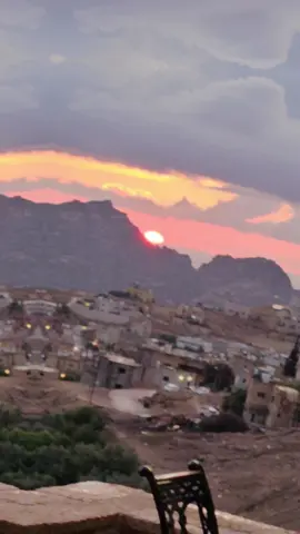 #creatorsearchinsights #quarantinelife #creatorsearchinsights #الاردن #الاردن 