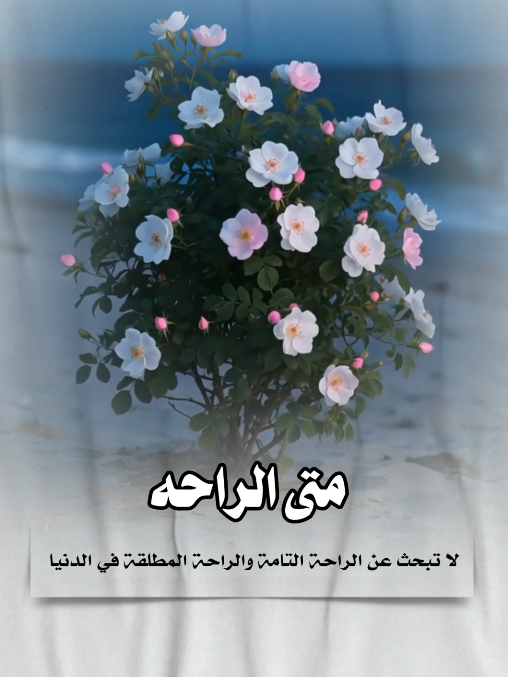 متى الراحه #الجنه #الراحه #الدنيا #متاع_الغرور #الدنيا_الفانيه #حقيقه #موعظه #InspirationByWords#كلمات #اكسبلور #لااله_الا_انت_سبحانك_اني_كنت_من_ظالمين #استغفرالله#الاستغفار #يارب #سبحان_الله_وبحمده #بودكاست#تصميم_فيديوهات🎶🎤🎬 #تصاميم_ghym3377 #اكتب_شي_توجر_عليه 