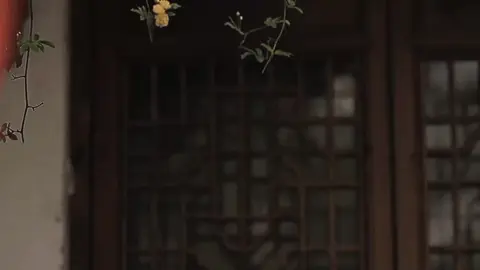 كنتي راحه بشكل حضن 🤎🪐 #اكسبلورexplore #حالات_واتس #استرهات #fyp #تصميم_فيديوهات🎶🎤🎬 #video 