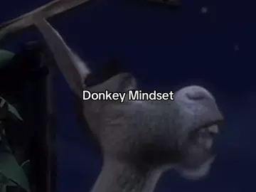 #fyp #trending #viral #donkey #donkeyshrek #shrek #funny #viral #mindset @Shrek @DreamWorks Animation 