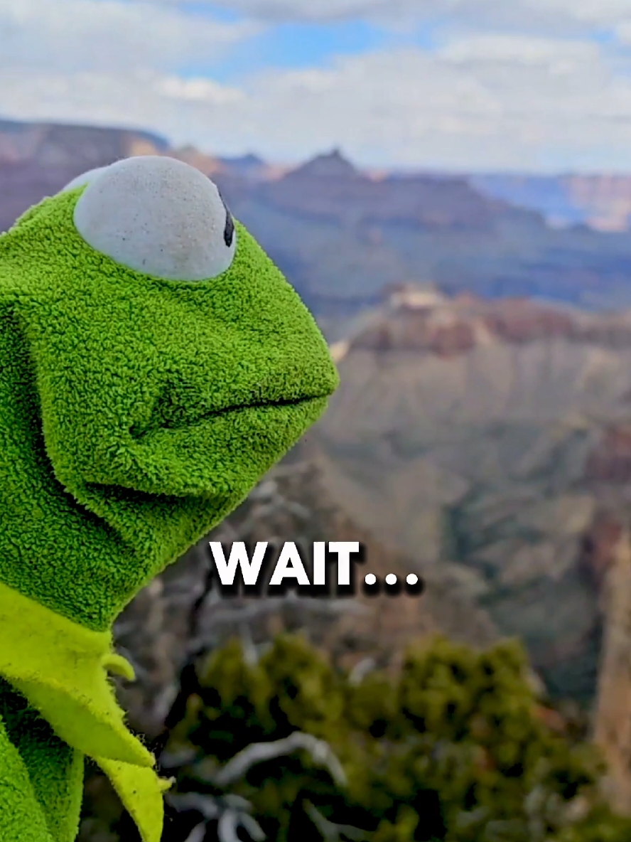 Why do I hear Creed Playing? 🤔 #creed #kermit #jesus 