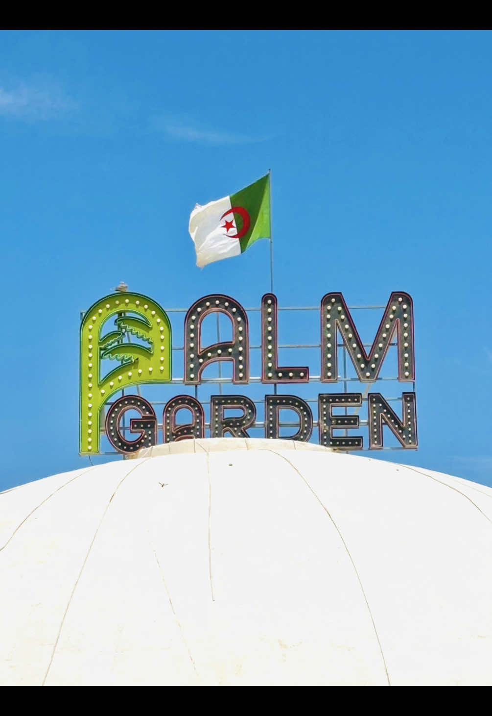 🩵 #palm #garden #guemar #eloued #ouedsouf #algerie🇩🇿 #dz #الشعب_الصيني_ماله_حل😂😂 #viral #foryou 