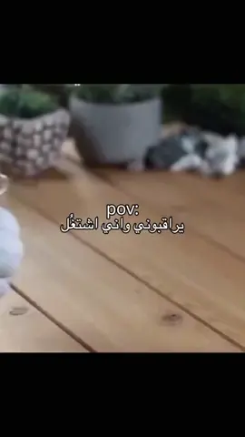 ياخي لتباعون🗿💔