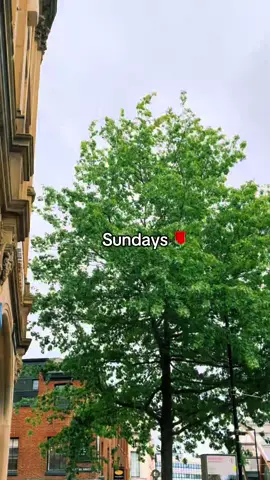 spending my Sundays solely eating and drinking coffee 🌹 