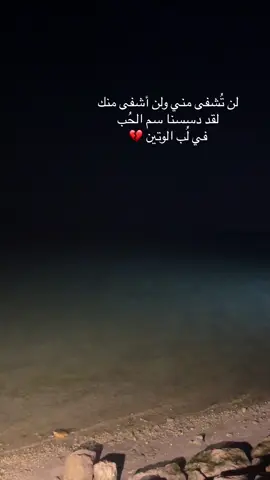 #الخبر #تصويري #عاشقة_الخيل 