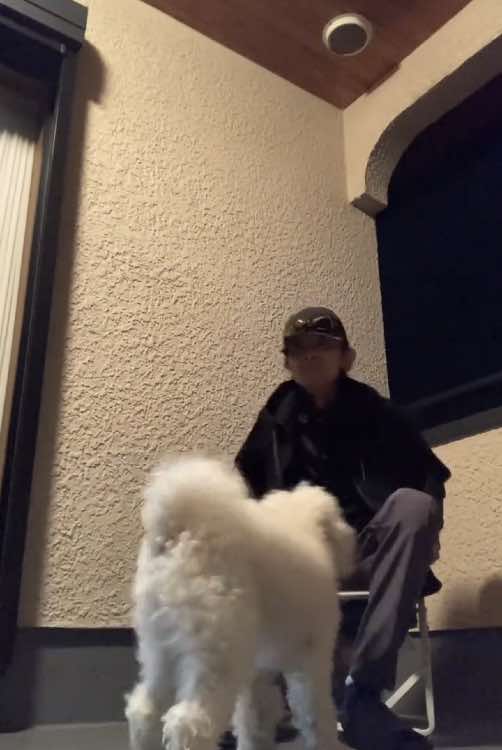 休暇から復帰🏝️電球交換から夕涼み、小田原へお出掛けですよ🚙 #休日の過ごし方 #芸能 #クリエイター #犬のいる暮らし