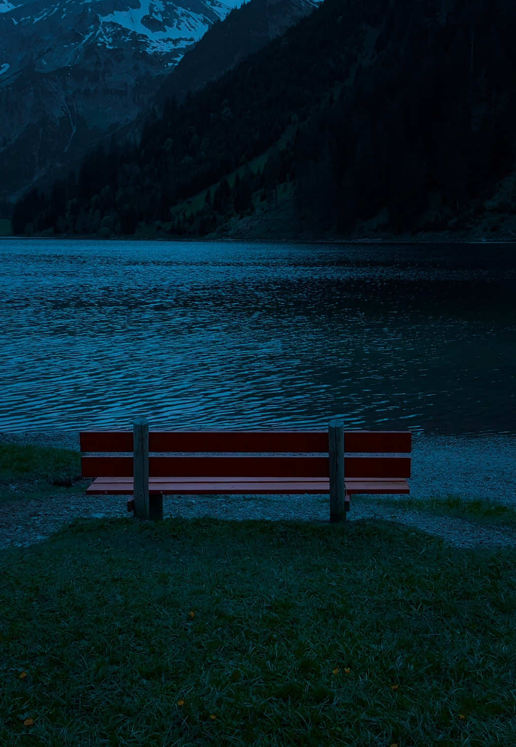 🩶🩶🩶#nature #darkaesthetic #calm #naturephotography #foryоu #aesthetic #relax 