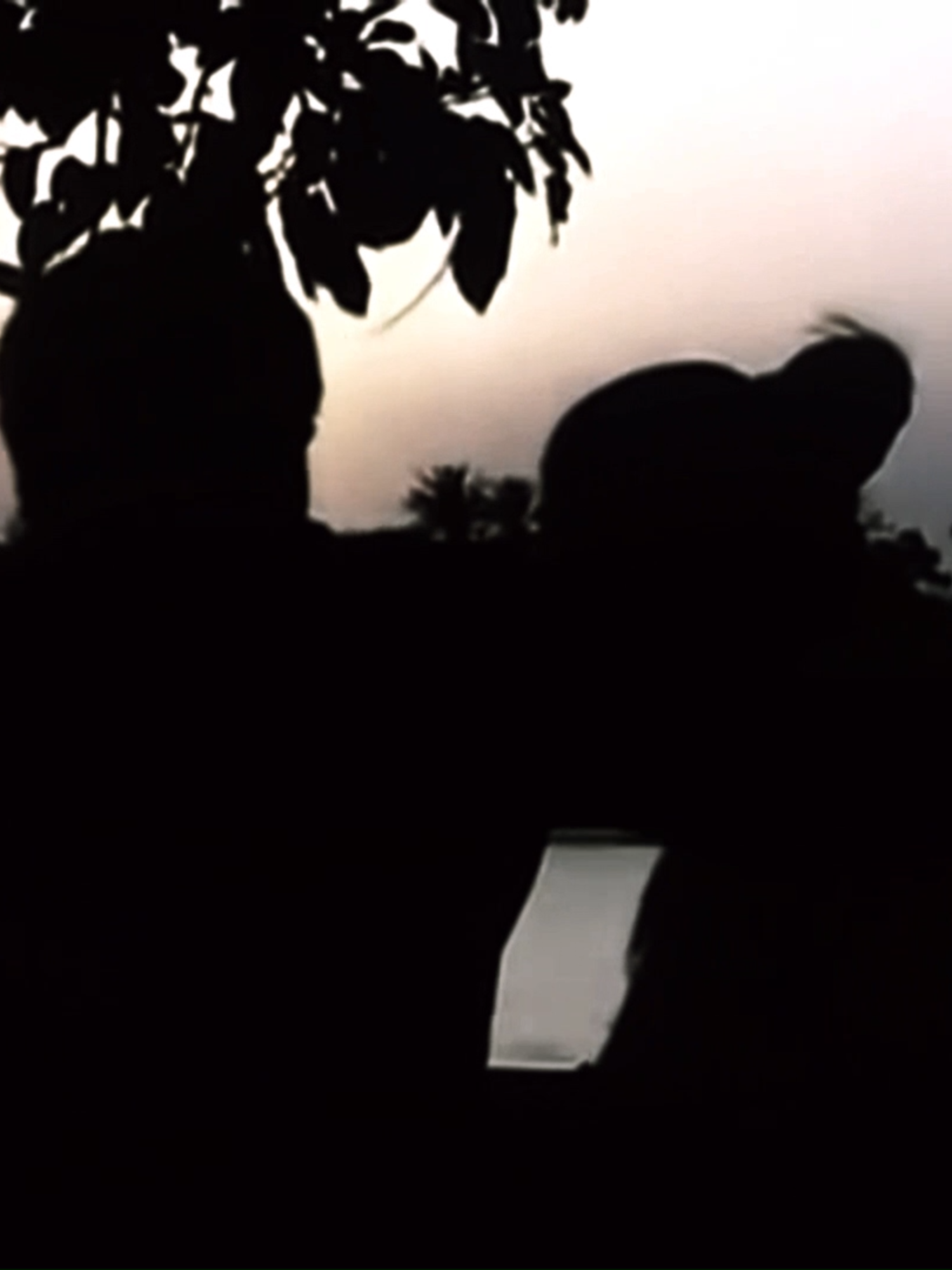 #افلام_مصرية_قديمة #افلام_قديمة #نور_الشريف #ميرفت_امين #افلام_مصرية #fyp