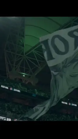 ياعشق ناسي و أهلي 🫠💚#جمهور_الاهلي #الاهلي #alahli #ahli #fyp #f #اكسبلور 