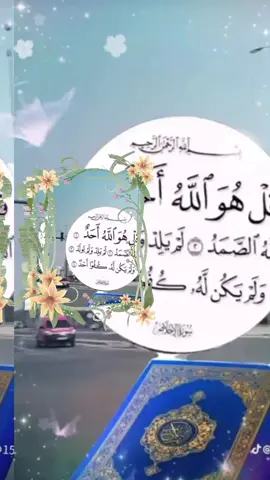 #vairalvideo #foryoupage #viraltiktok #qu_ran_n #fypシ゚viral #fish #fyppppppppppppppppppppppp #trending #support_me 