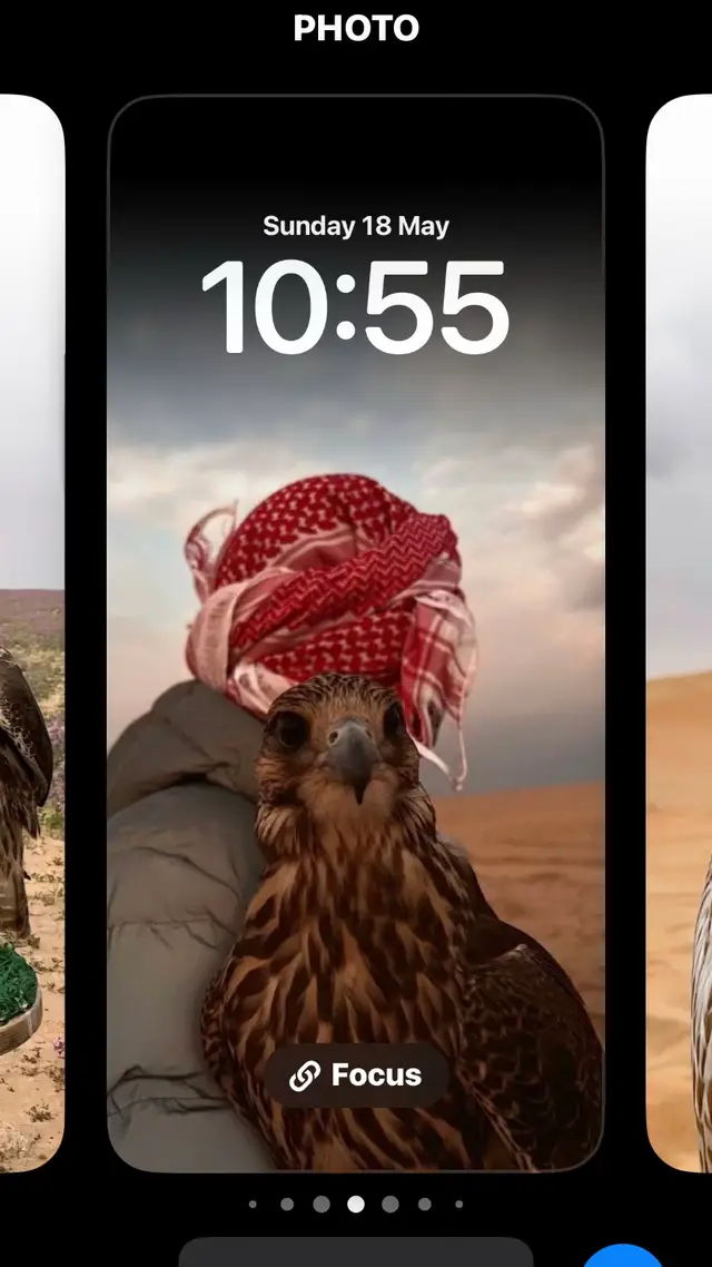 #خلفيات #خلفيات صقر#صقر