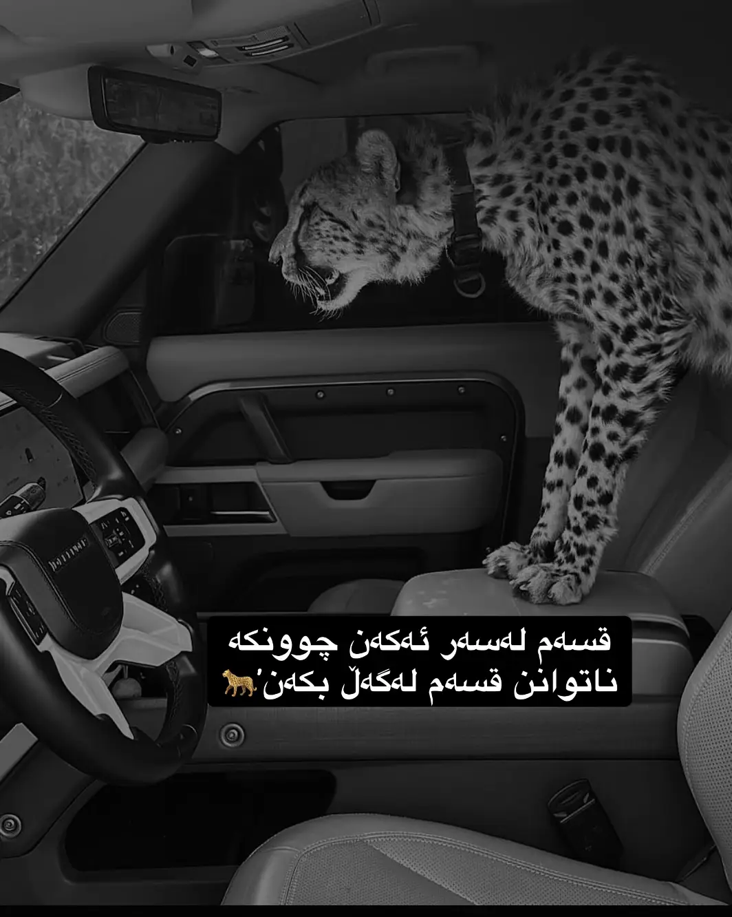 #foryoupage #شعب_الصيني_ماله_حل😍🍯 #fyp_tiktok #وتەی_بەنرخ #وتەی_زێڕین #actives? #وتە #arabic #fyp #capcut 
