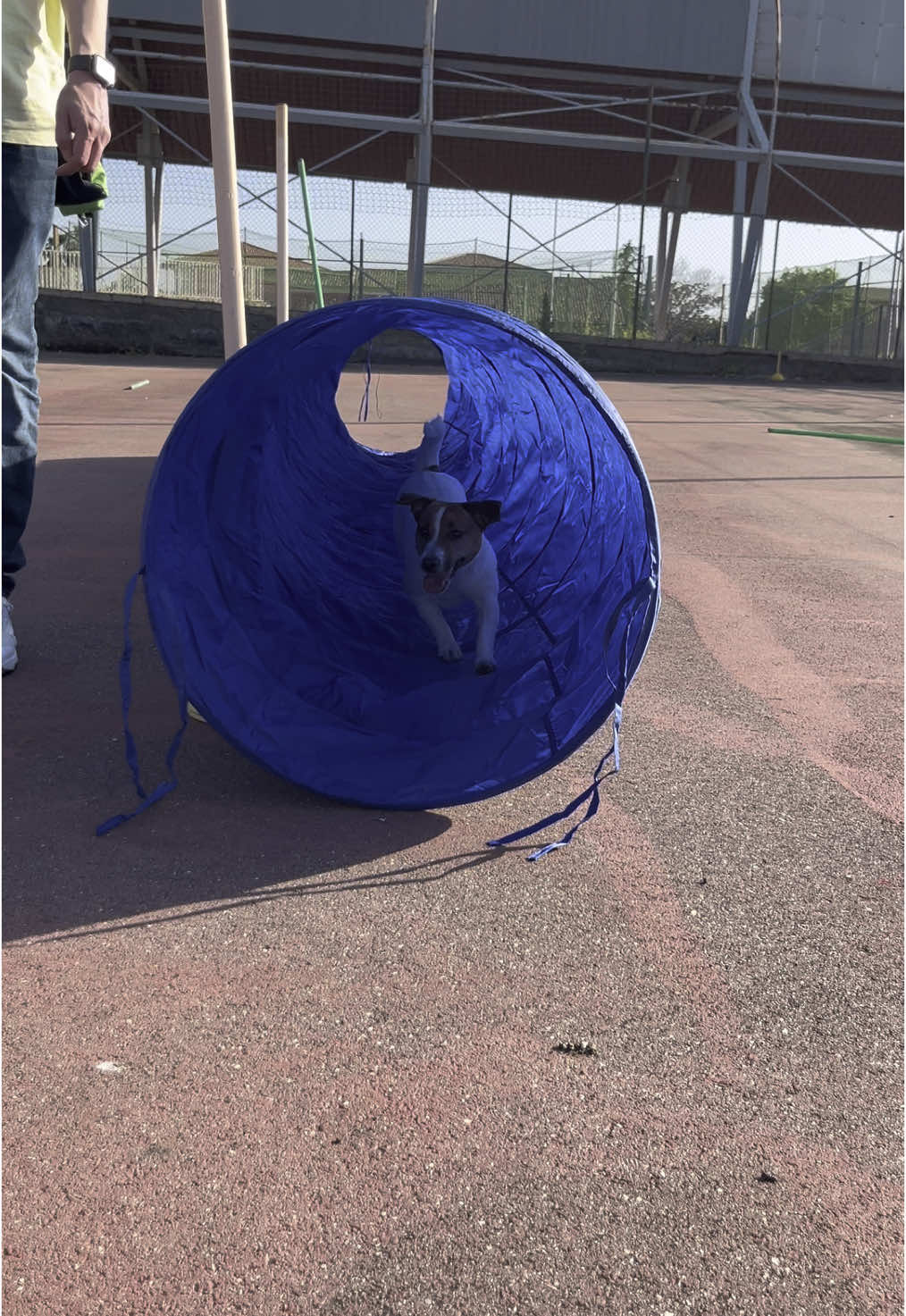 “Lo sport unisce. Con i cani, crea comunità. 🐾 Insieme, costruiamo relazioni più forti… a sei zampe!” @Sport e Salute  #spazicivici  #playdistrict 