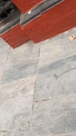 #tempel #buddha #buddism #monkey #swayambhunath_kathmandu #swayambhunath 