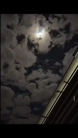 افنيت عمري وماقدرت اتجاهلك علامك والله ماذي عادتك #علامك_والله_م_ذي_عادتك #محمد_بن_غرمان #بدون_موسيقى #شيلات #تصميم #افنيت_عمري #شيله #اكسبلو #fyp #foryou #foryoupage #fy #funny 