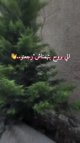 #في هذا اليوم 