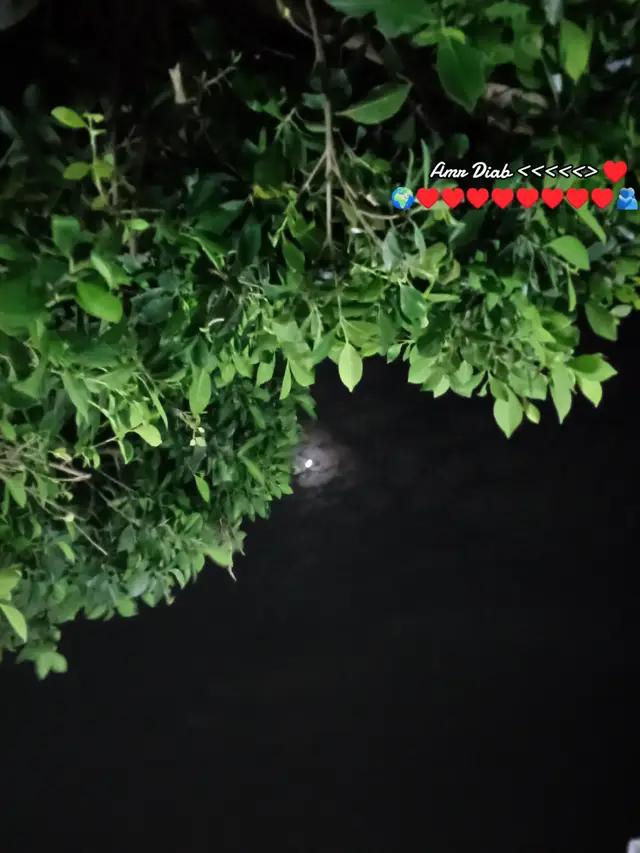 #سلومه  #تصويري  #عمرو_دياب