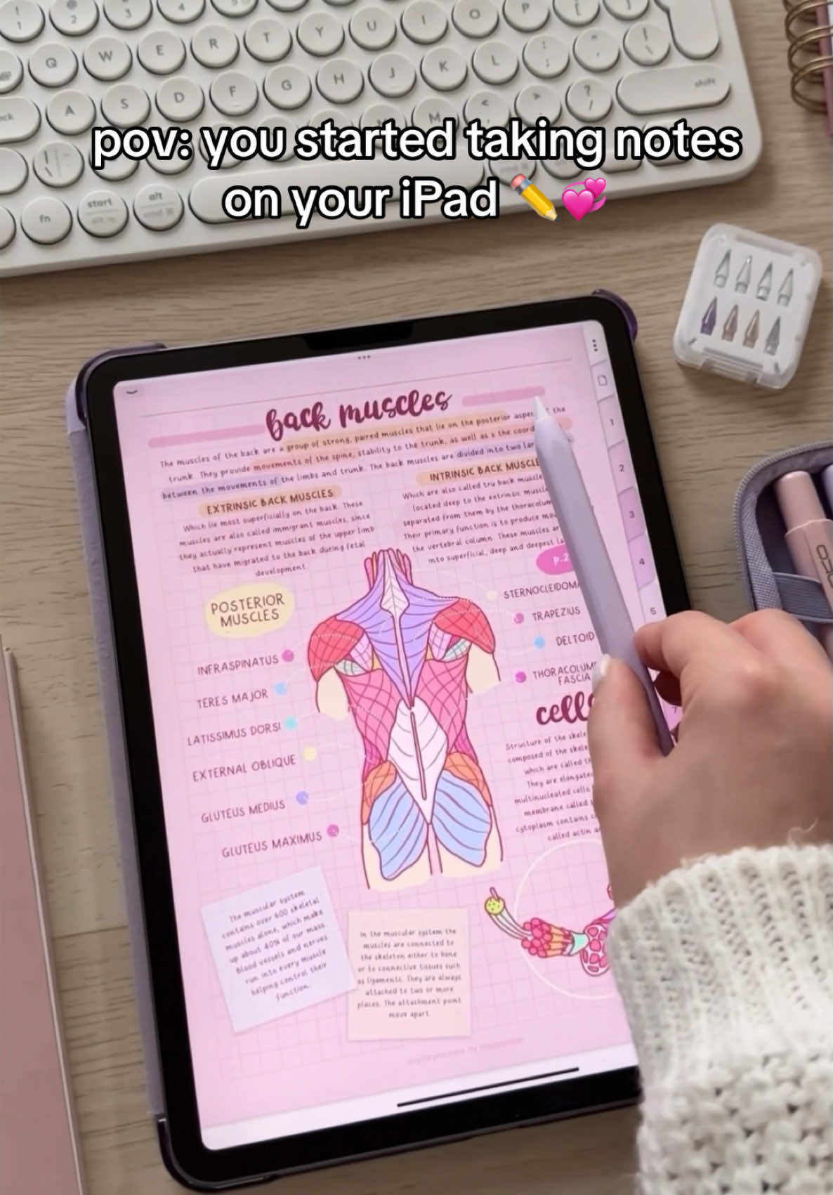 Come take notes with me on pink mode templates ✏️😍📓💞✨😎✍🏻🥰 #digitalplanning #digitalnotes #digitalnotetaking #ipadtips #scribble #applepenciltips #goodnotes #notetaking #digitalplanner #ipadnotes #ipadnotetaking #studynotes #studynotetaking #studynotesideas #goodnotes6 #goodnotes5 #ipados17 #ipados18 