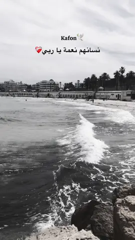 #kafon #houmani #🕊️🕊️🕊️ 