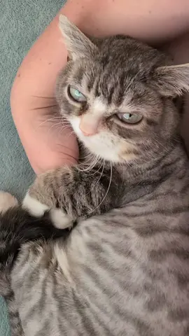 Love my Winky snuggles