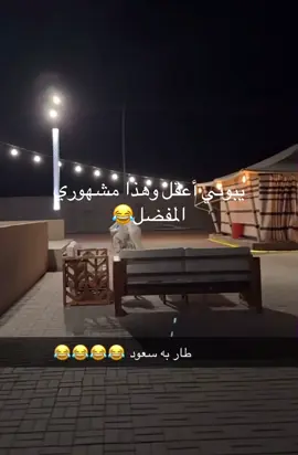 #ابوحصه #ابوعجيب #قروب_ابوحصه #اكسبلور #اكسبلورexplore_o #fyp #exploer #حفرالباطن_الان #الرياض #قطر #حفرالباطن 