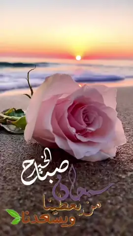 #في هذا اليوم 
