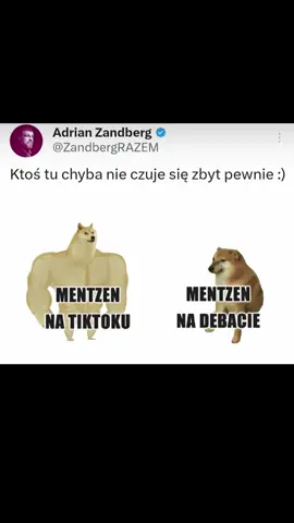 Nieroby w strachu 😮‍💨 #rampage #zandberg #wybory2025 #farright #mentzen #dlaciebie #ai 
